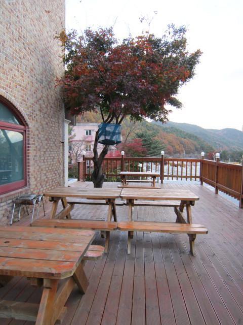 Motel Songwol Park Sokcho Esterno foto